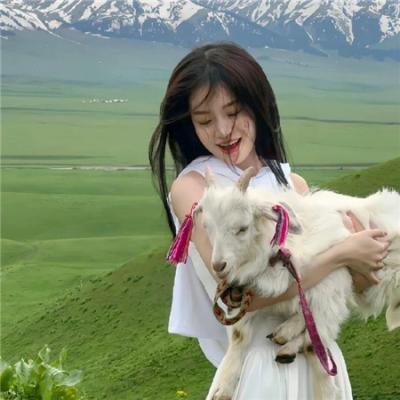 我温柔的斗牛士